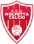 molfetta-calcio-logo-236x300