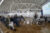 noiacademy formazione